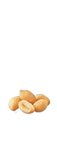 Frito Lay Salted Whole Peanuts