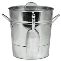 Ice Bucket Metal Medium