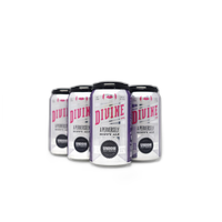 Union Craft Brewing Foxy I P A 12 Pack Cans